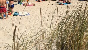 A beach with people sunbathing and swimming, umbrellas, and beach chairs.