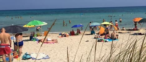 Una spiaggia nelle vicinanze