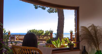 Casa Panoramica, prestigious Villa with sea view terraces
