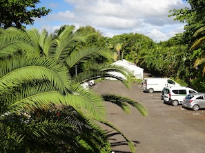 Guests can park their vehicles in this tranquil outdoor area surrounded by lush greenery and palm trees.