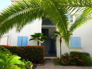 Stroll through the tranquil courtyard surrounded by lush greenery and vibrant flowers.