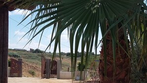 A palm tree in a courtyard with a concrete floor, a metal gate, and a building in the background. - House with independent apartment with a splendid view of the sea - Seccagrande Ribera (Ribera)