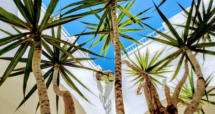 Riad Vejerísimo: 4 rooms + 4 bath + parking + stunning views