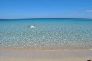 Une plage avec une eau turquoise et limpide, et une personne qui nage.