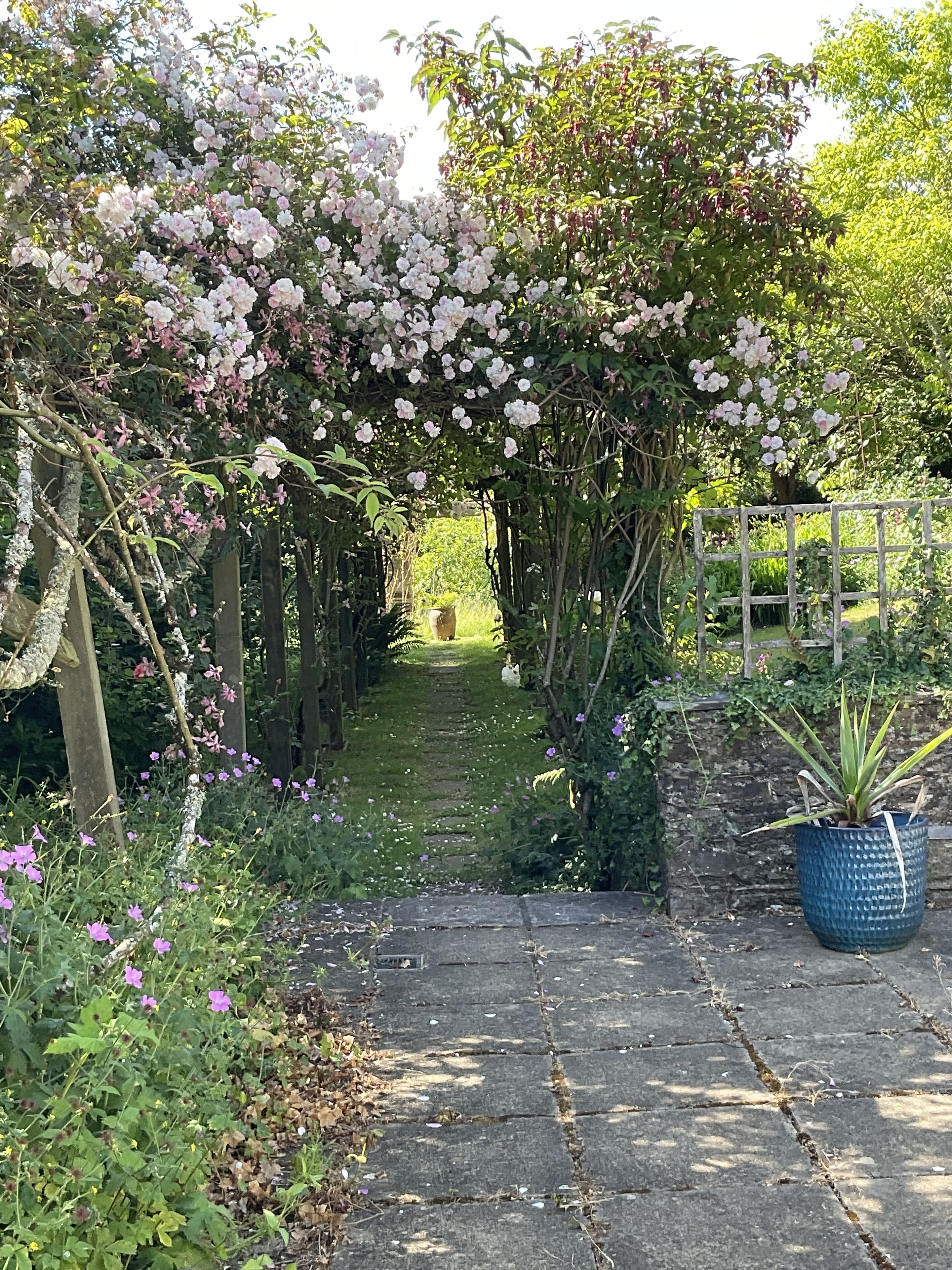 view through the rose bower