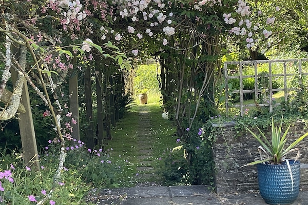 view through the rose bower