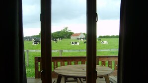 A view from a room with a wooden table and bench, looking out to a grassy field with cows and a barn.