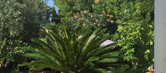 ONE FLOOR APARTMENT IN HOUSE WITH GARDEN