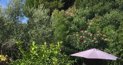 ONE FLOOR APARTMENT IN HOUSE WITH GARDEN