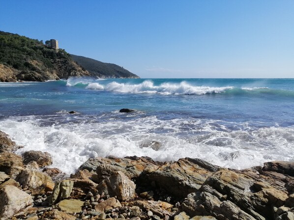 Accommodatie ligt op het strand, ligstoelen, strandlakens