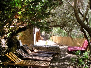 Terrein van de accommodatie