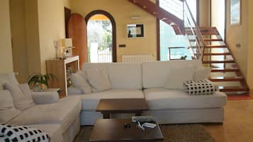 TV, fireplace, DVD player