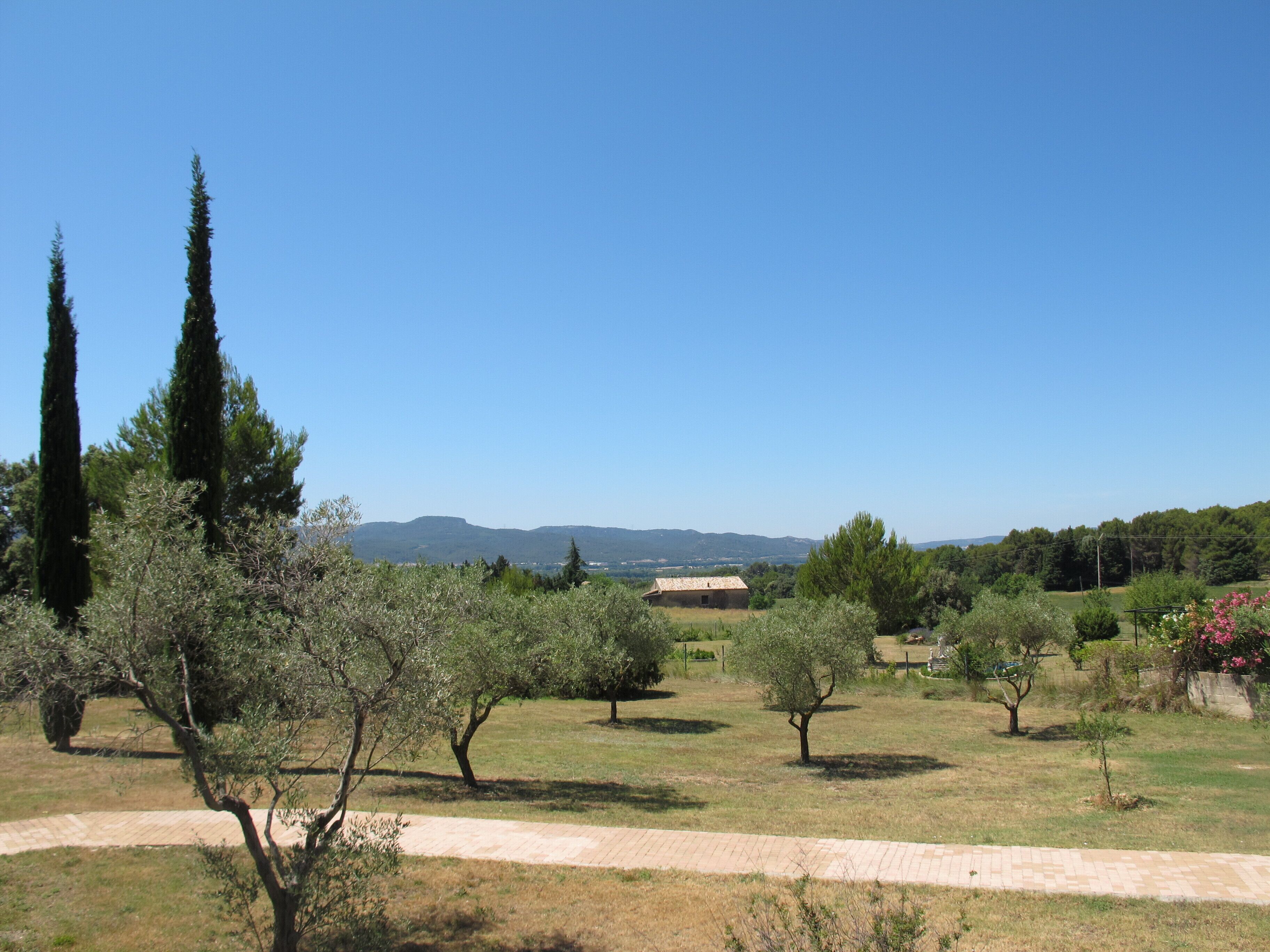 A rural landscape with a clear sky, a paved path, and trees.