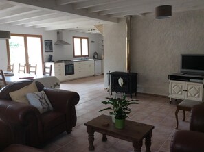 Télévision, cheminée, lecteur de DVD, table de tennis de table