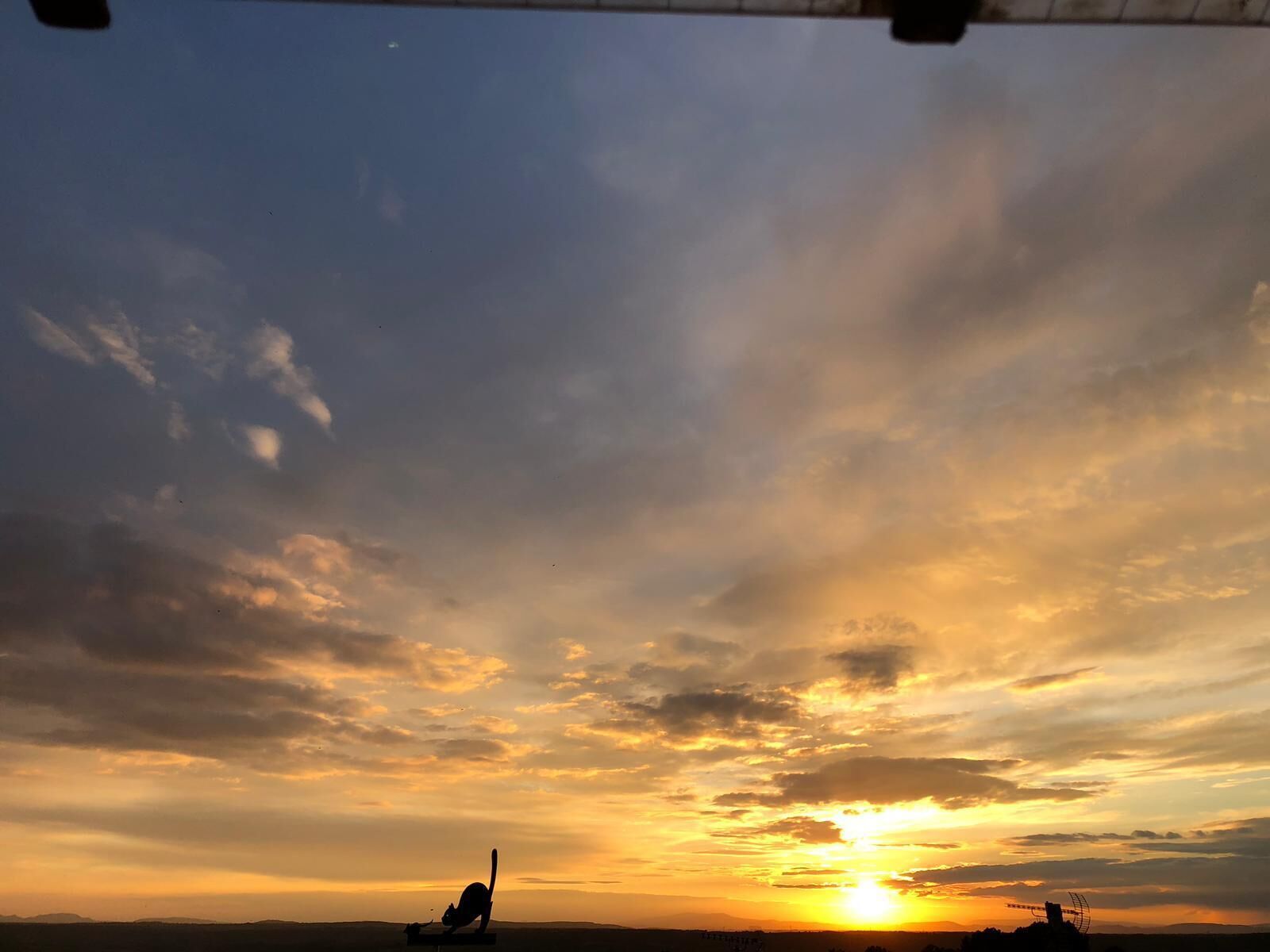Un coucher de soleil avec la silhouette d’un chat assis sur un banc.