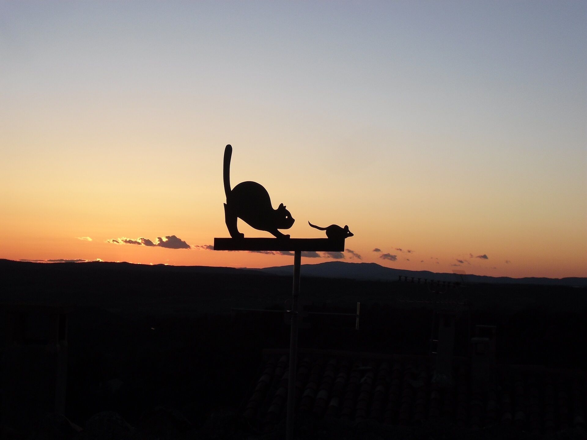 A silhouette of a cat and a mouse on a bench against a sunset sky.