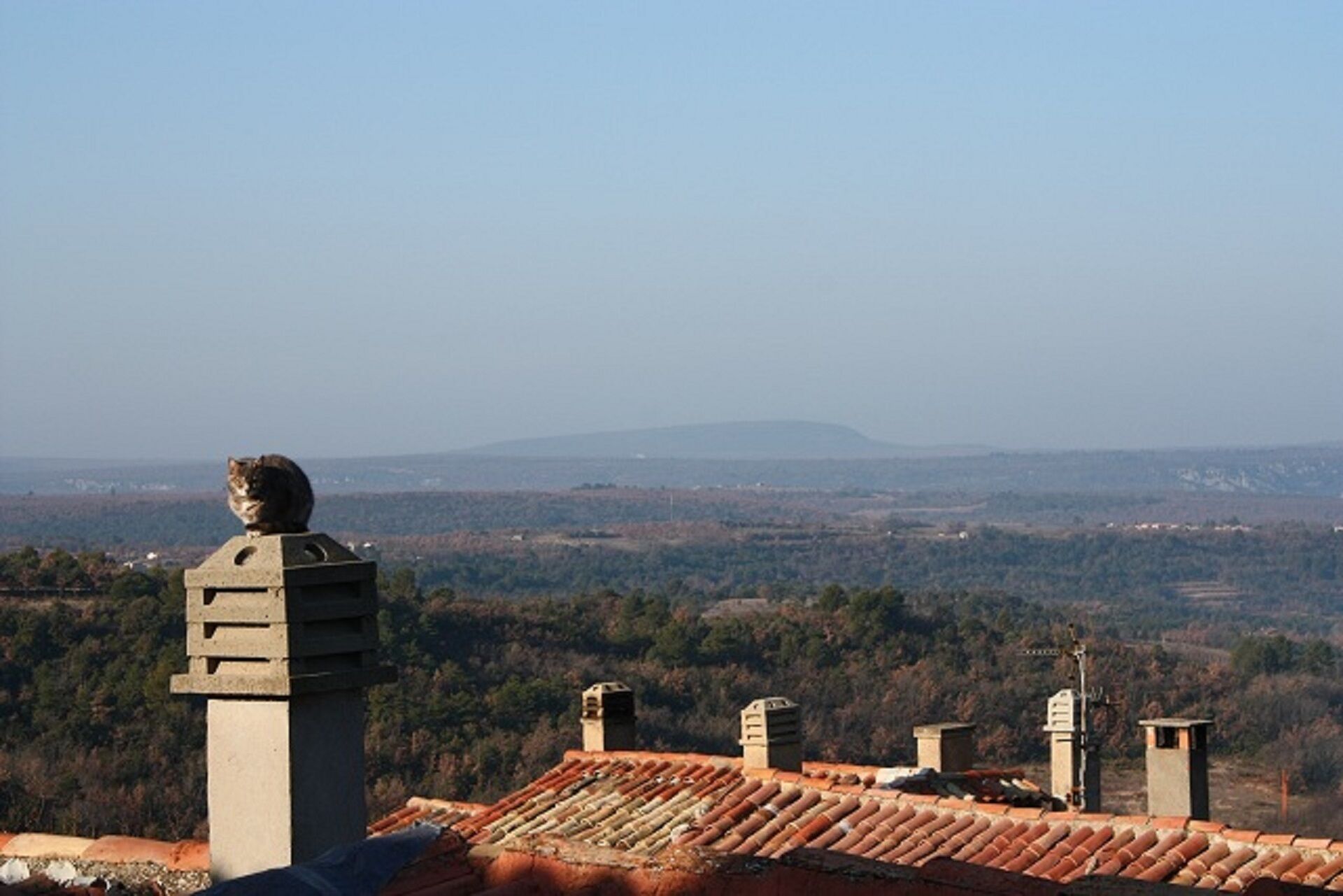 Un toit-terrasse orné d’une statue en pierre, surmonté d’un toit en tuiles, et offrant une vue sur des collines lointaines.