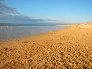 Playa en los alrededores 