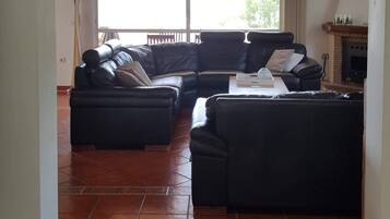 Een televisie, een open haard, een dvd-speler en boeken