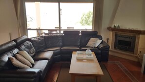 TV, lareira, DVD player, livros