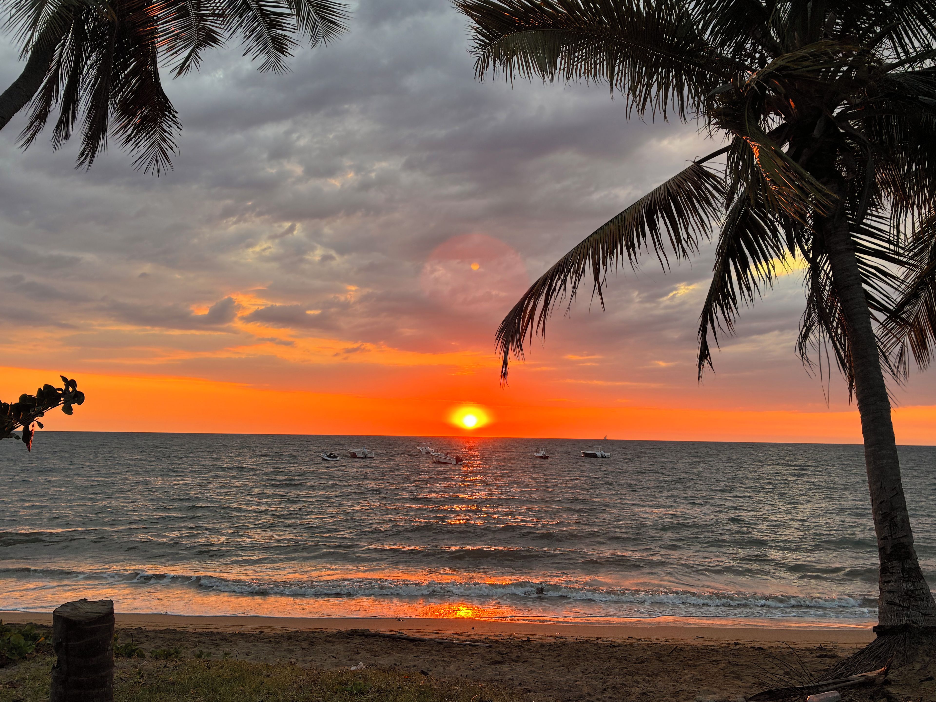 A sunset over the ocean with palm trees and boats.