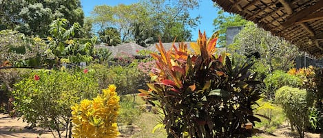 Jardim com diversas plantas e uma estrutura de colmo.