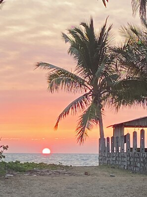 Un atardecer sobre el océano con una palmera y una estructura de madera.