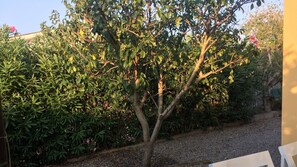 المنطقة المحيطة  بالمنشأة