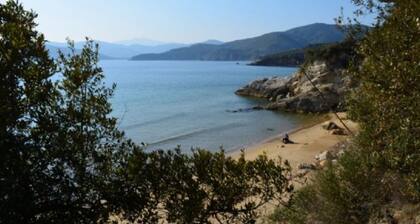 Villa 5pl., Gepflegt und einladend.