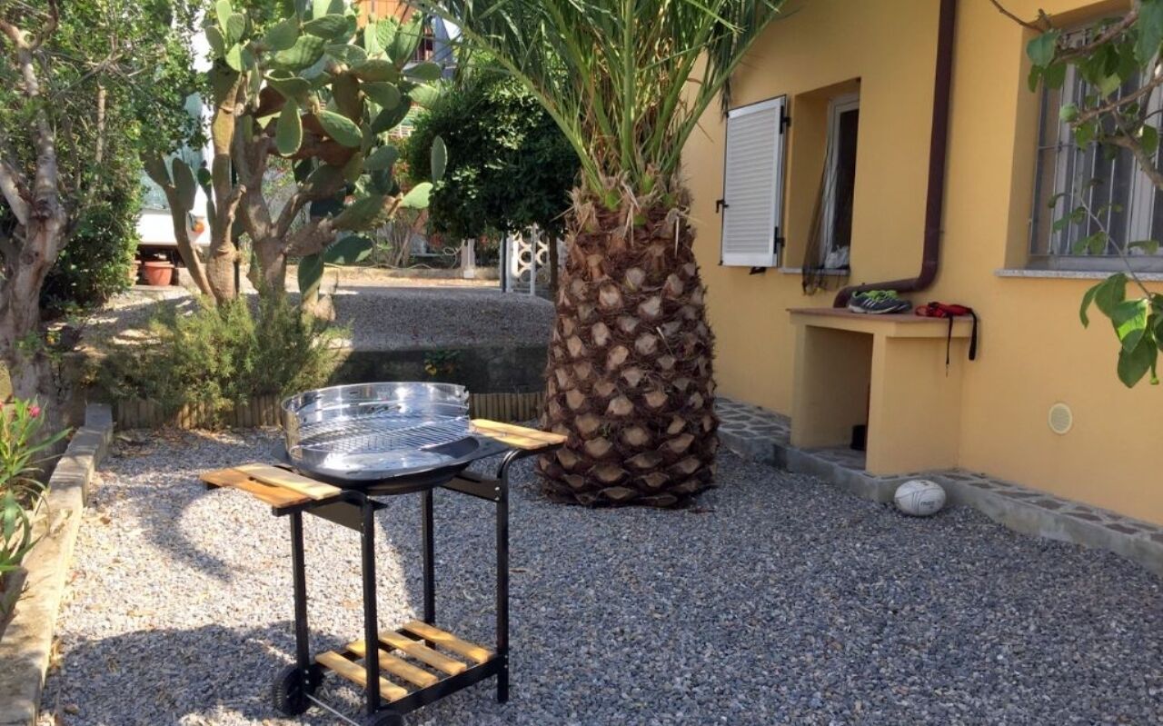 Un patio al aire libre con una parrilla y una planta de piña grande.