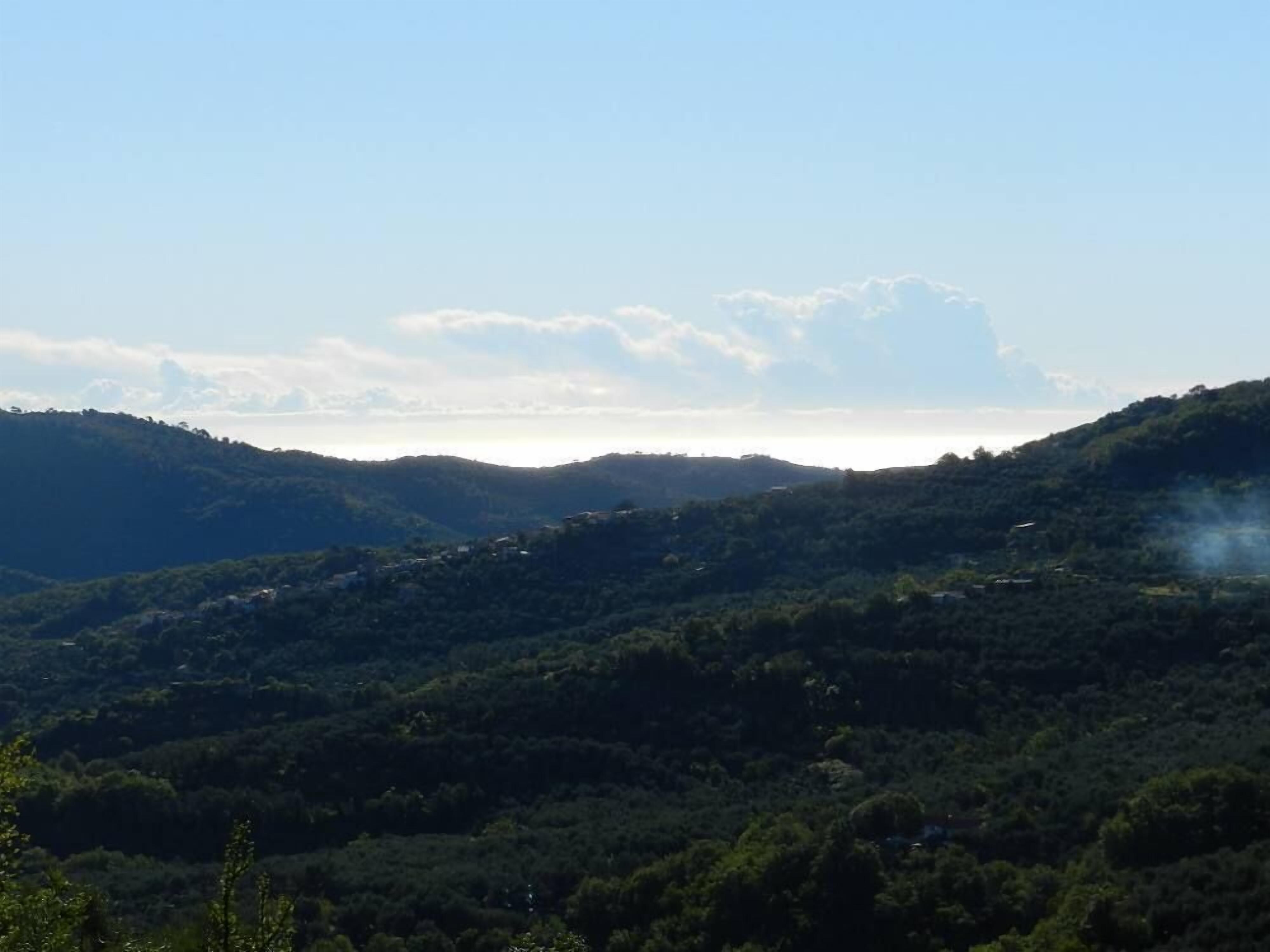 Un paisaje montañoso con densa vegetación y cielo despejado.