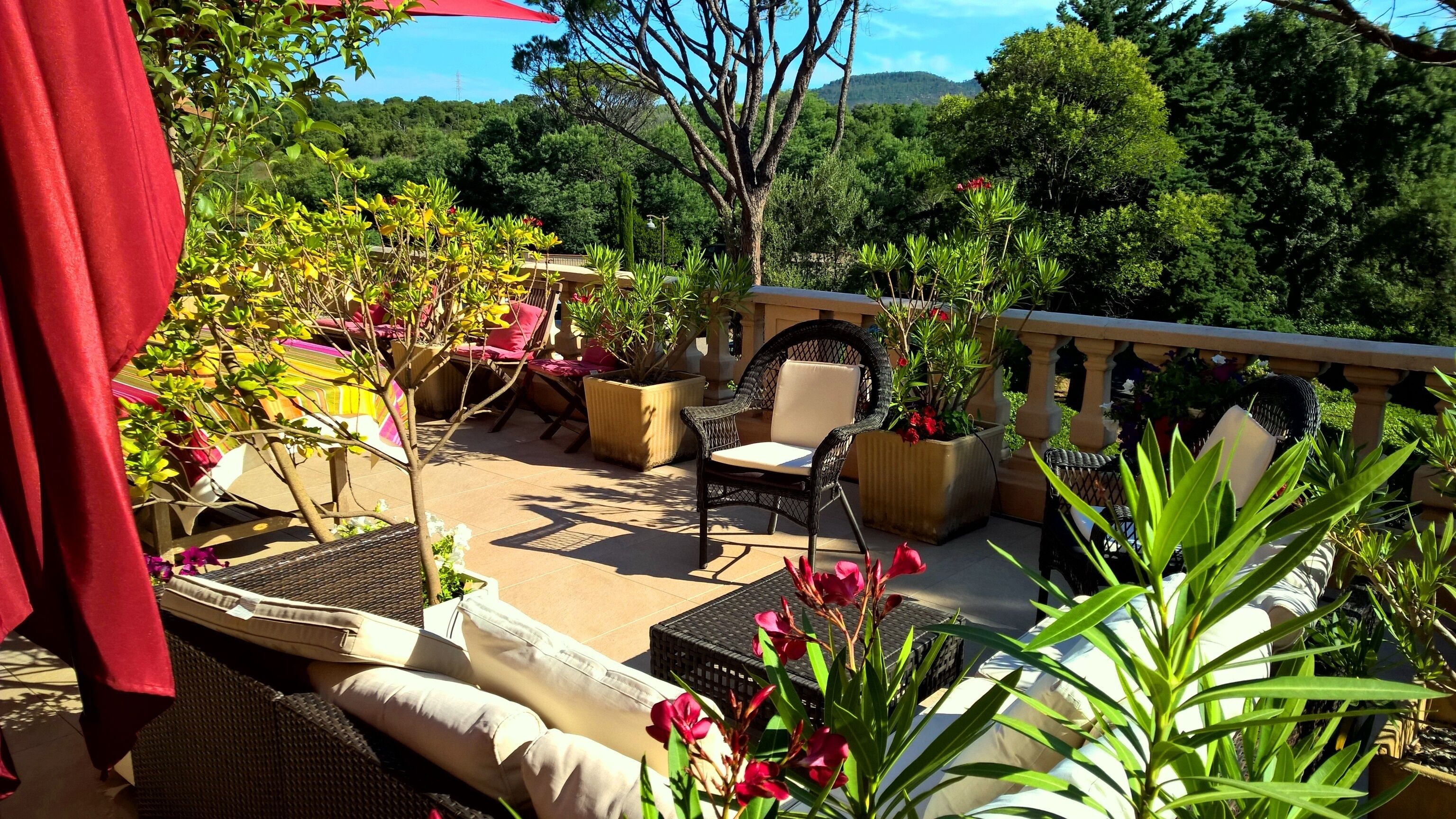 An outdoor patio area with wicker furniture, potted plants, and a view of the surrounding greenery.