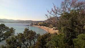 Panorama costiero con spiaggia, alberi e una cittadina in lontananza.