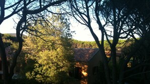Una casa circondata da alberi, con una finestra ben visibile e un tetto in tegole.