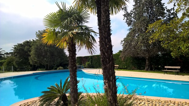 Una piscina circondata da palme e da una panchina.