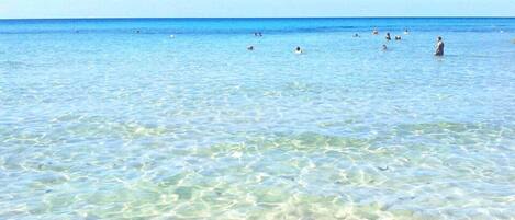 Una spiaggia nelle vicinanze