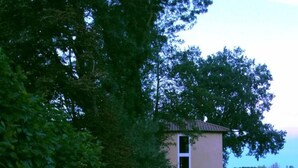 Une zone herbeuse avec plusieurs lanternes sphériques en papier et, au fond, un bâtiment doté d’un toit recouvert de tuiles.