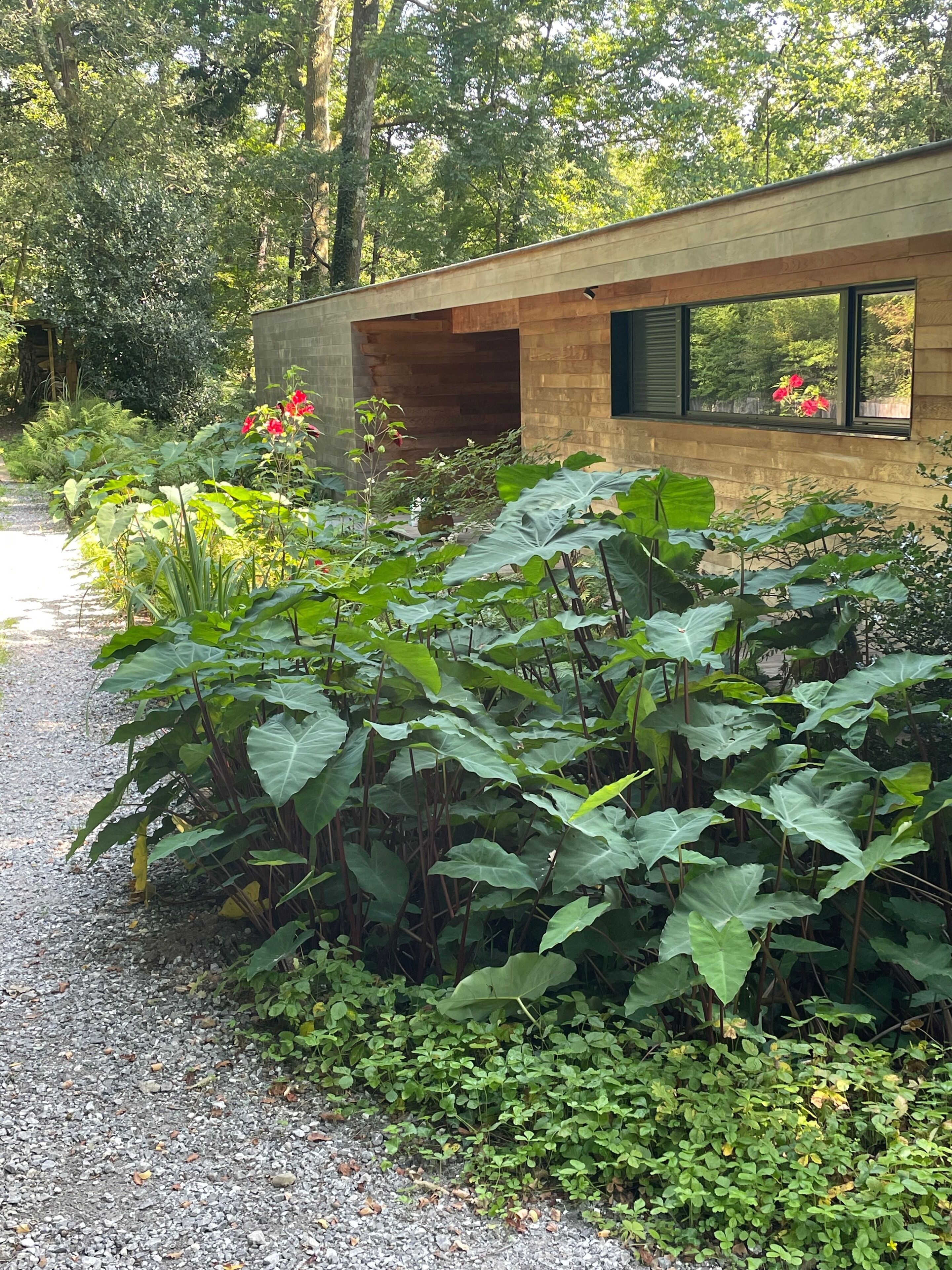 Enceinte de l’hébergement