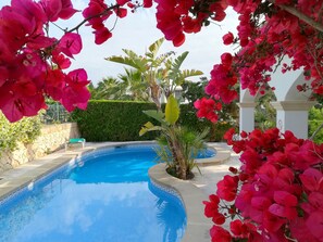 Piscine extérieure