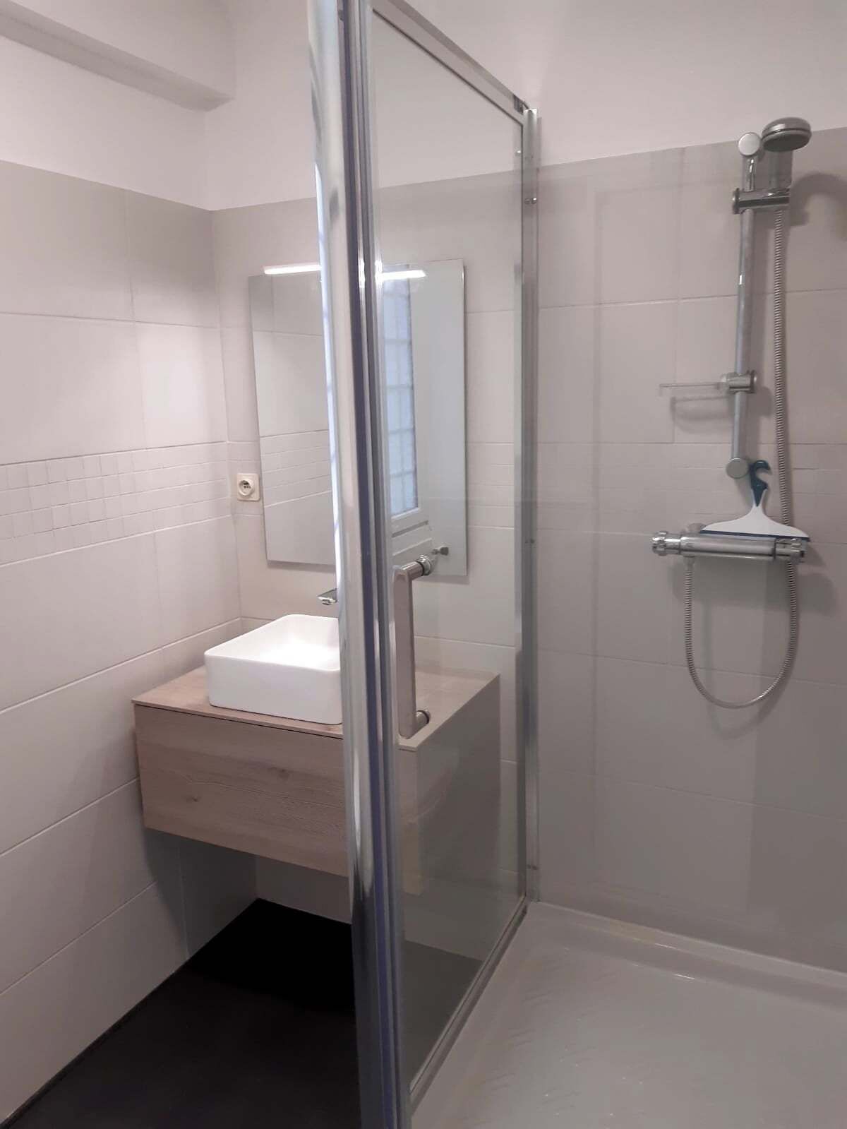 A modern bathroom with a glass shower enclosure, a white sink, and a mirror.