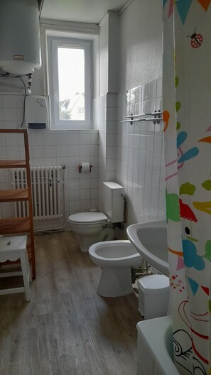 Combined shower/bathtub, hair dryer