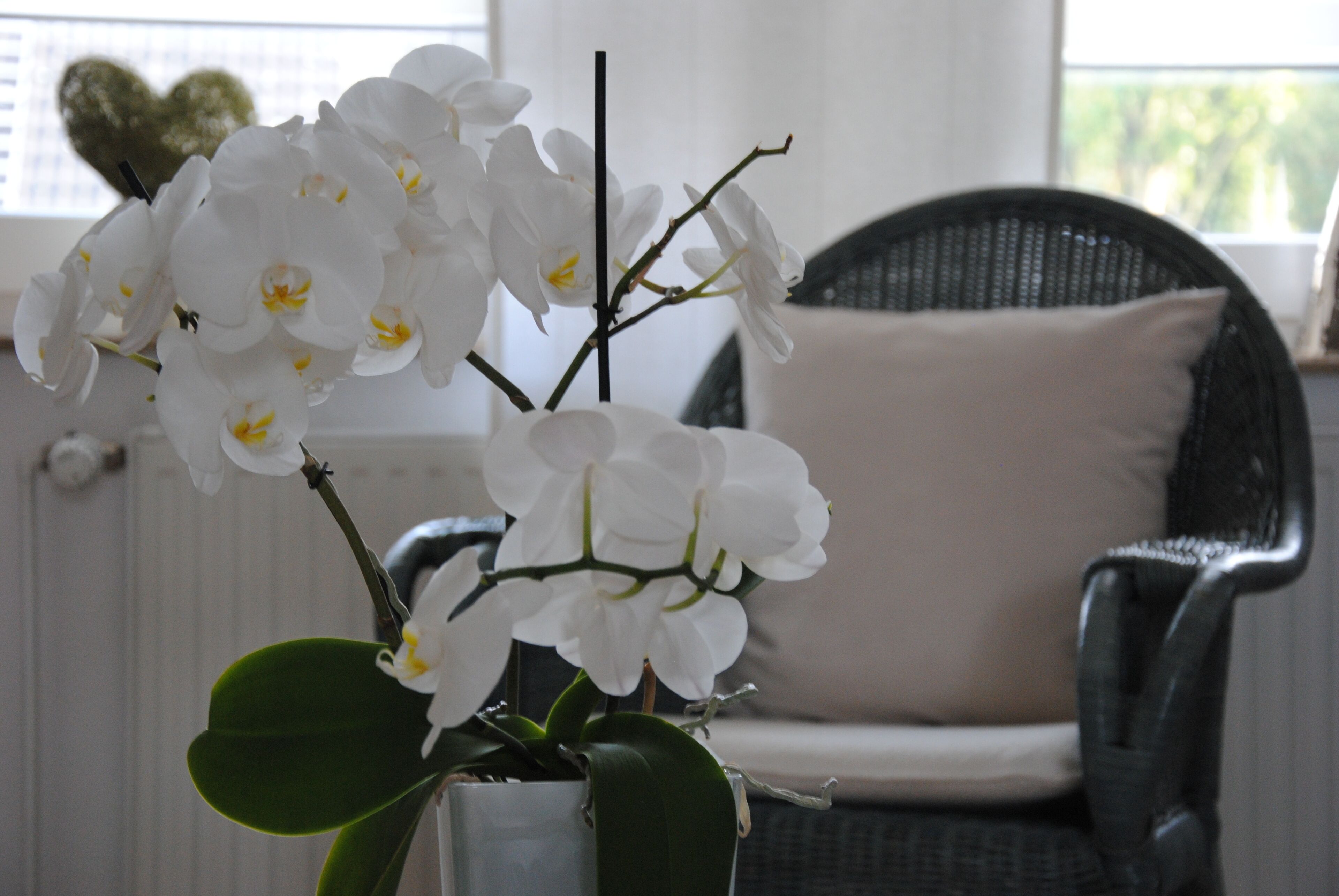 Newly furnished apartment in Bottrop, modern comfortable equipment