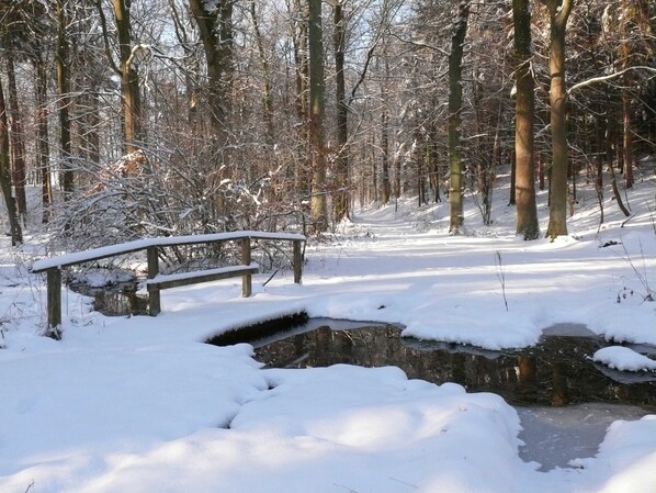 Luokittelematon kuva, 1 kautta 77, painike