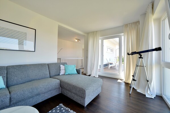 TV, fireplace, toys, books