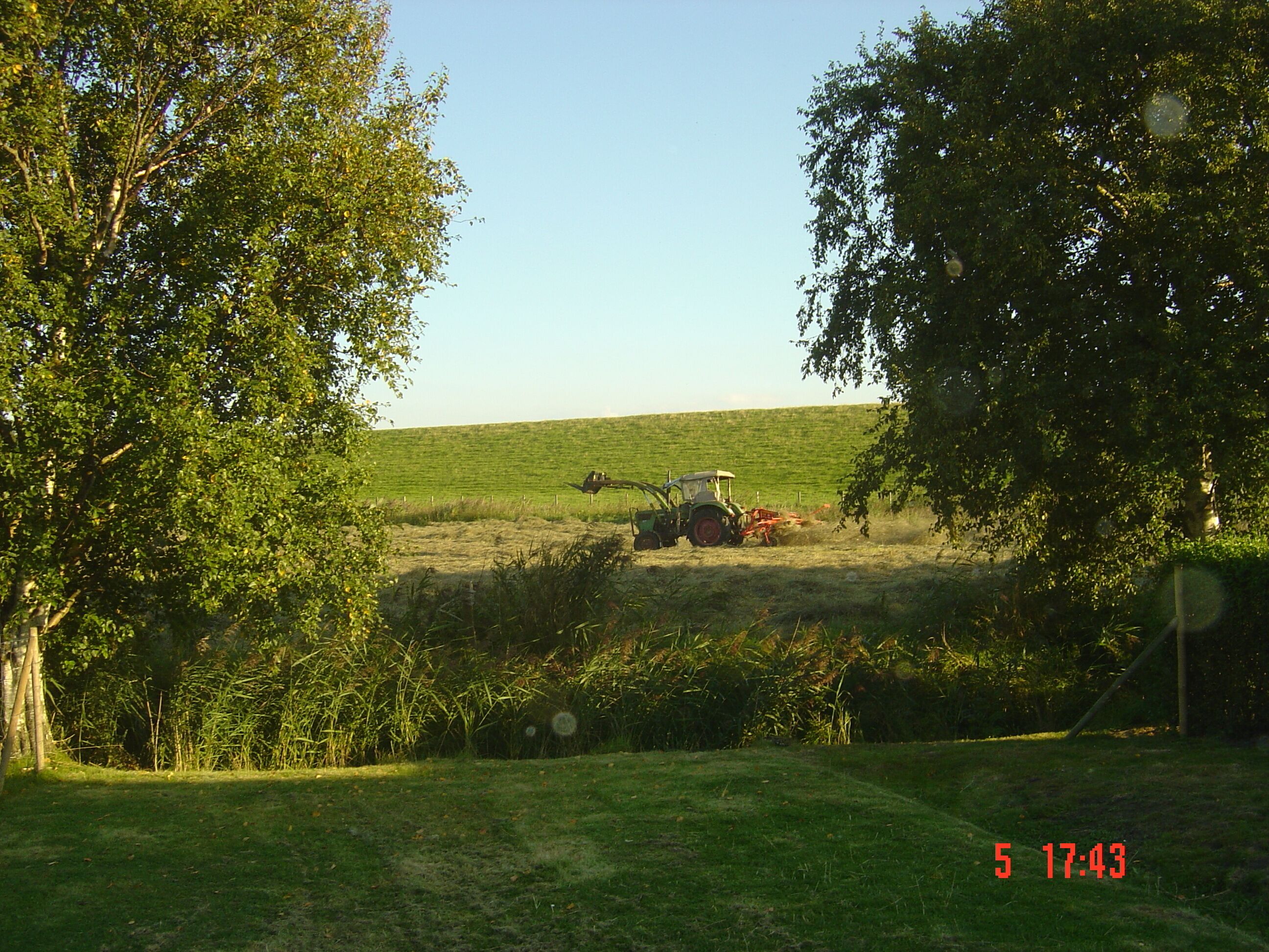A tractor in a field with trees around.