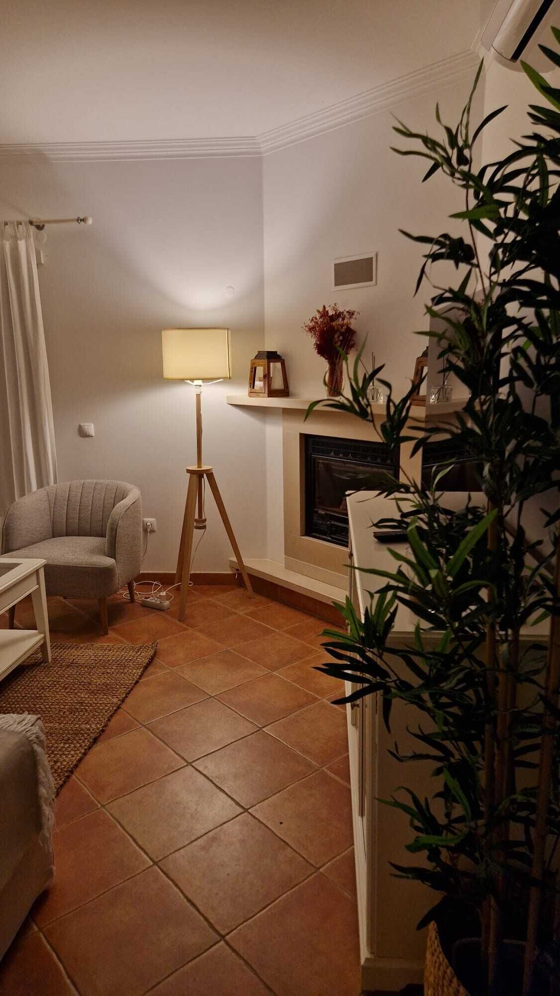 Ein Wohnzimmer mit einer Couch, einer Stehlampe, einem Kamin und einem Blumentopf.