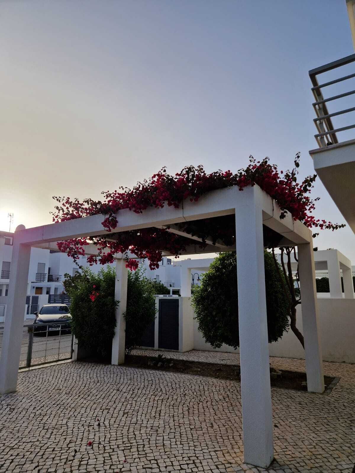 A covered outdoor area with a white structure, red flowers, and a paved ground.