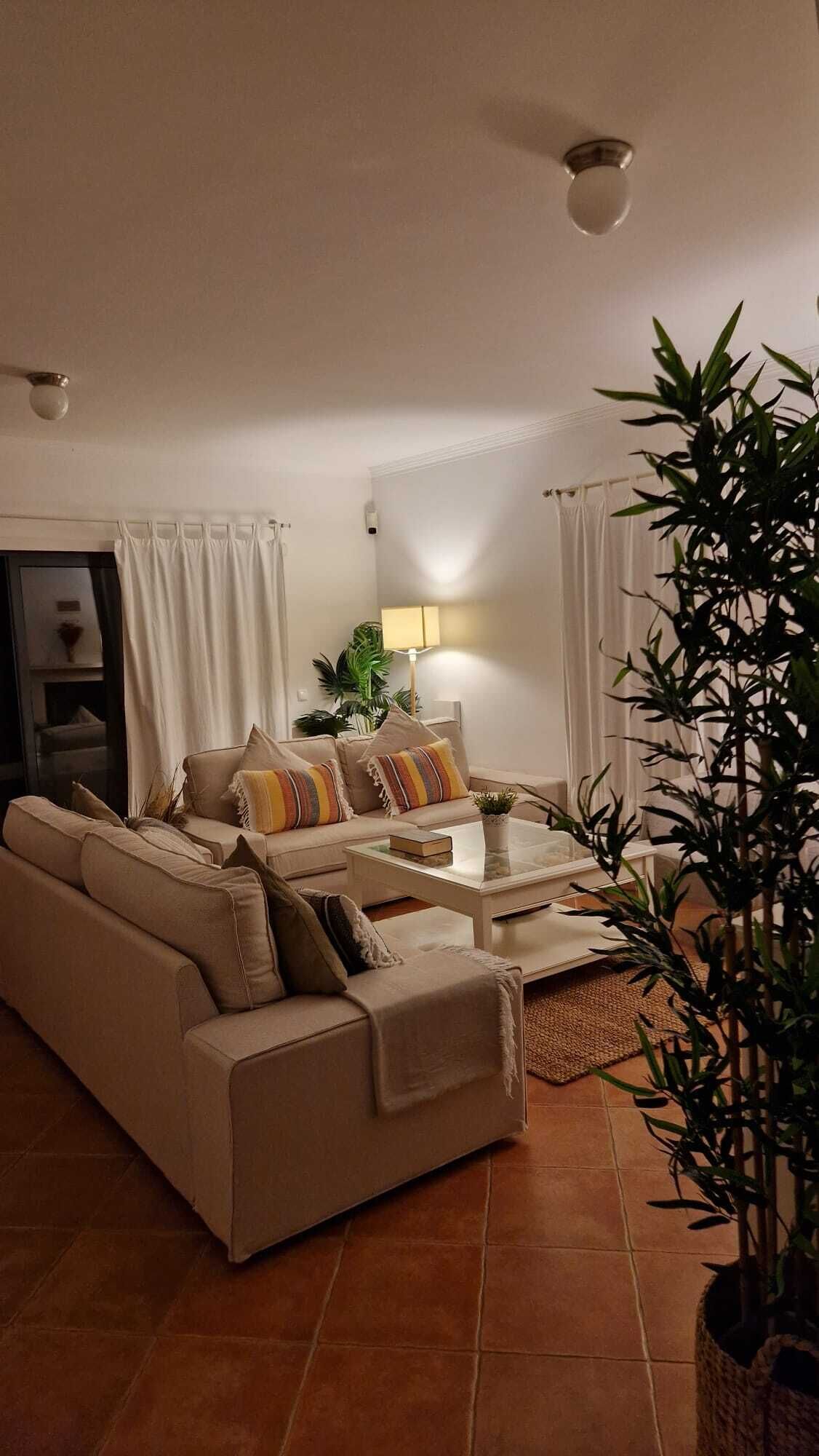 A living room with a beige sofa, a coffee table, and a potted plant.