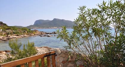 GARDEN VILLA DOLPHIN SEASIDE