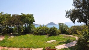 A garden with a pathway, green grass, and yellow flowers. - GARDEN VILLA DOLPHIN SEASIDE (Golfo Aranci)